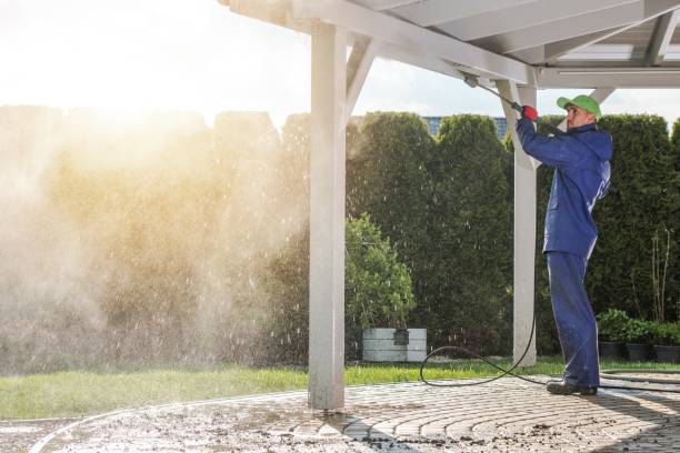 Best Solar Panel Cleaning  in Collinsville, VA