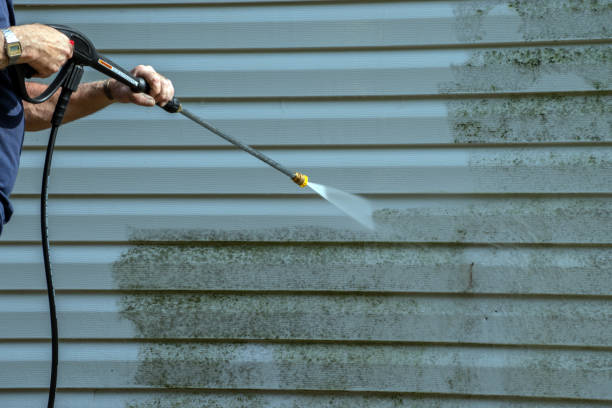 Best Animal Enclosure Cleaning  in Collinsville, VA